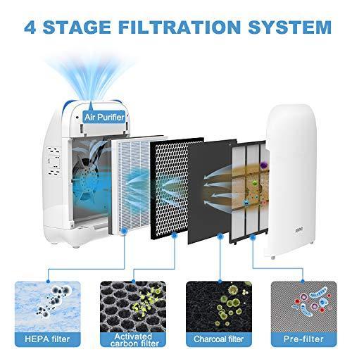 How and When Should I Clean/Replace My Renpho Air Purifier’s Filter? (Model RP-AP001)
