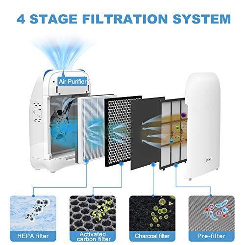 How and When Should I Clean/Replace My Renpho Air Purifier’s Filter? （Model RP-AP001）